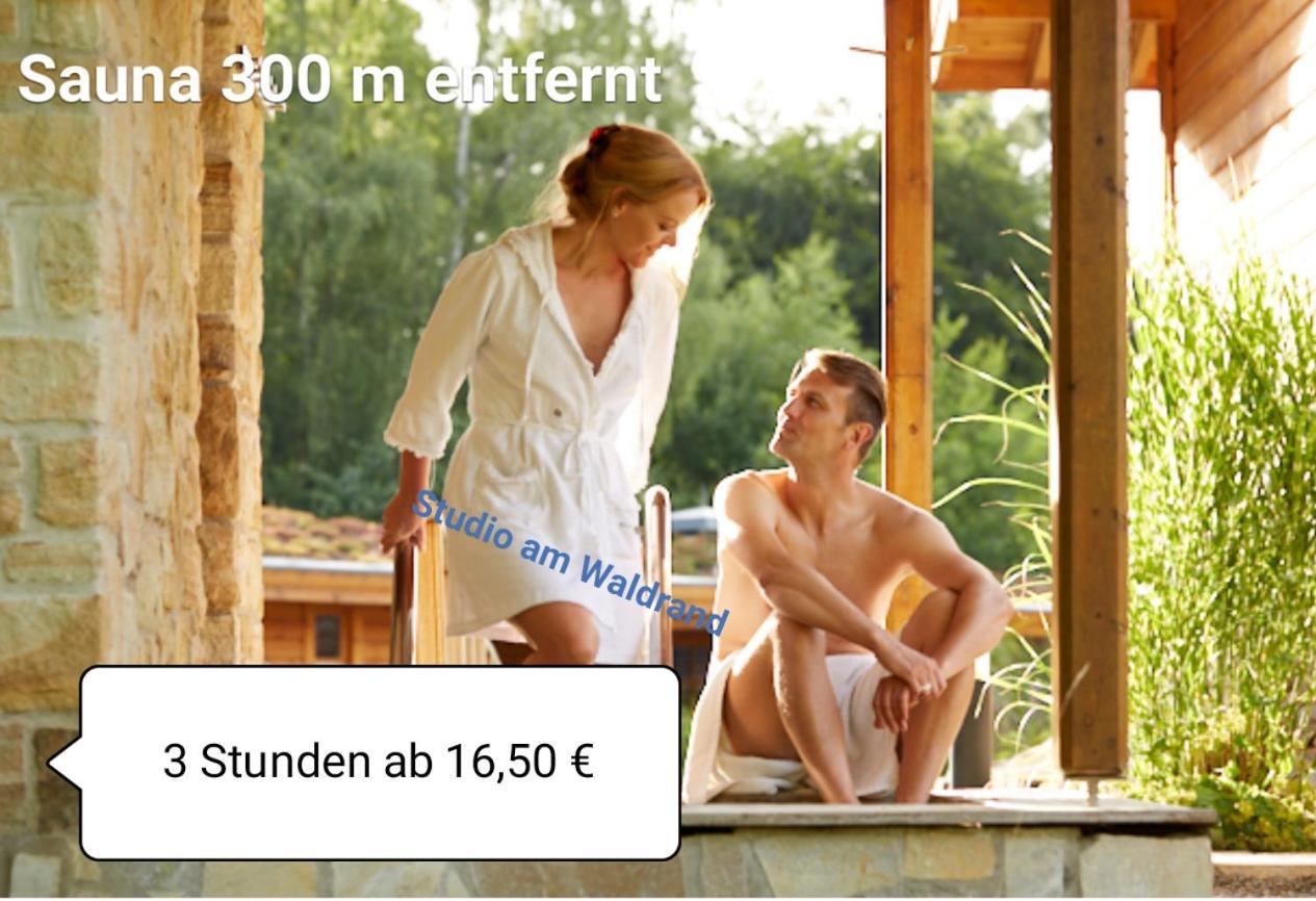 Studio Am Waldrand Wadgassen 外观 照片